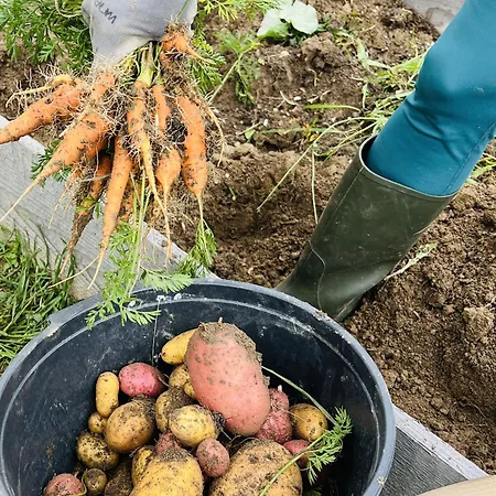 Berglodge Goms * Münster