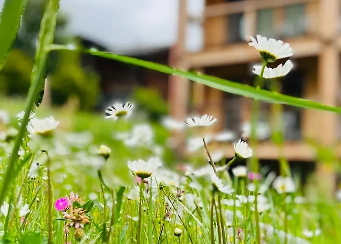 Отель Berglodge Goms *