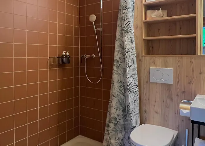 Отель Berglodge Goms *