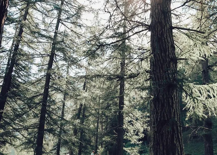 Отель Berglodge Goms Мюнстер