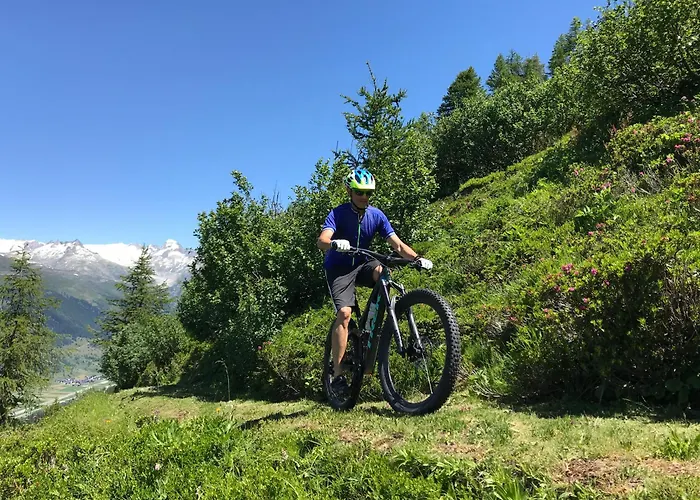 Отель Berglodge Goms