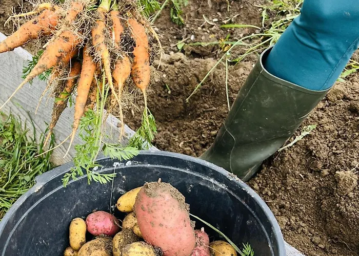 Berglodge Goms * Мюнстер