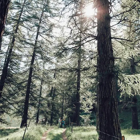 Hotel Berglodge Goms Münster