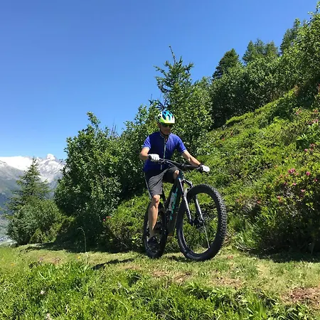 Hotel Berglodge Goms